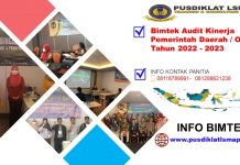 Info Bimtek Audit Kinerja Pemerintah Daerah / OPD Tahun 2022 - 2023