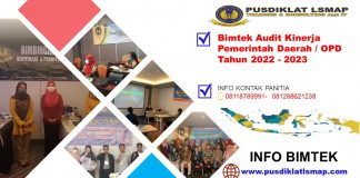 Info Bimtek Audit Kinerja Pemerintah Daerah / OPD Tahun 2022 - 2023