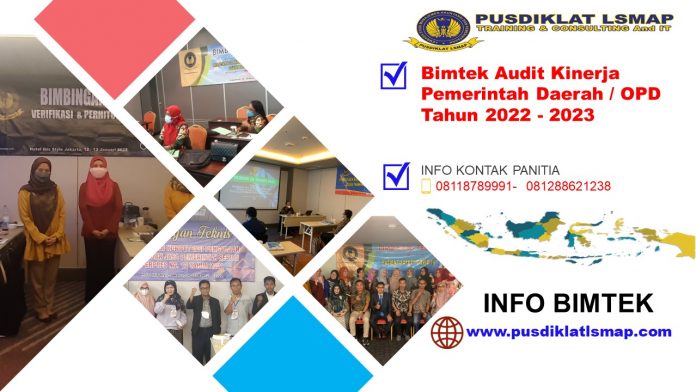 Info Bimtek Audit Kinerja Pemerintah Daerah / OPD Tahun 2022 - 2023